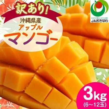 【2027年6月から順次発送・訳あり】アップルマンゴー3.0kg(6～12玉)【配送不可地域：離島】【1494041】