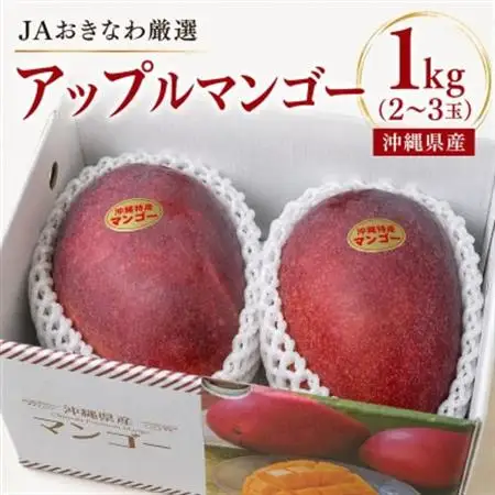 【2027年7月から順次発送・化粧箱】JAおきなわ厳選のアップルマンゴー1kg(2～3玉)【配送不可地域：離島】【1494042】