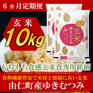 【６カ月定期】令和８年産　ゆきむつみ　10kg（5㎏×2個）計60㎏　(TT17)