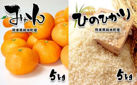みかん お米 熊本県なごみ町産無洗米「ひのひかり」5kg＋みかん5kg | 熊本県 熊本 くまもと 和水町 なごみまち なごみ みかん ミカン 蜜柑 柑橘 柑橘類 温州 果物 フルーツ 小玉 3S 無洗米 ヒノヒカリ ひのひかり