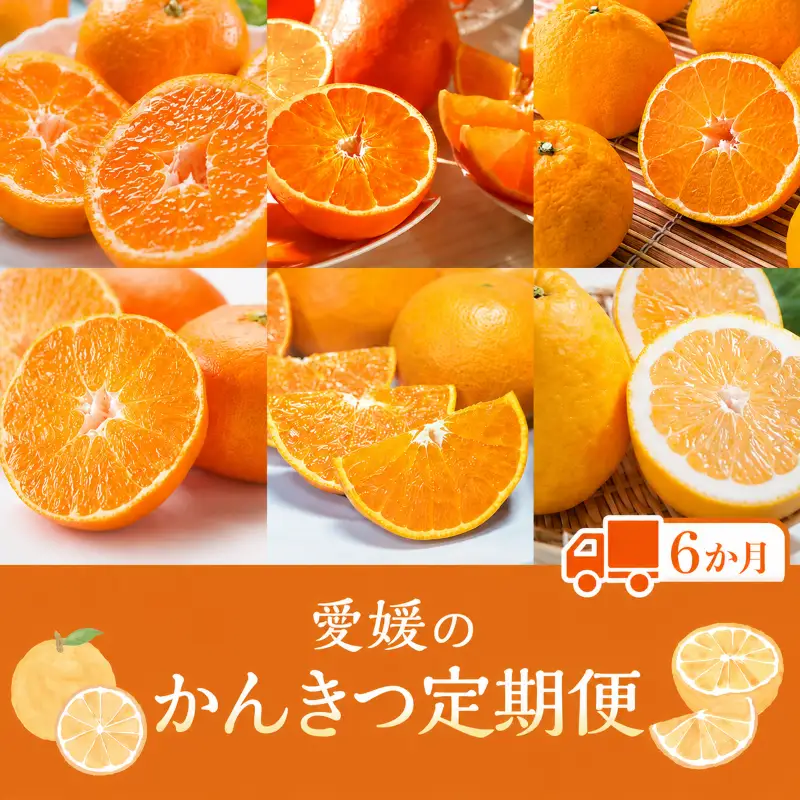 【定期便6回】えひめかんきつ定期便 みかん 紅まどんな 伊予柑 デコポン せとか 河内晩柑 【KBK0112】