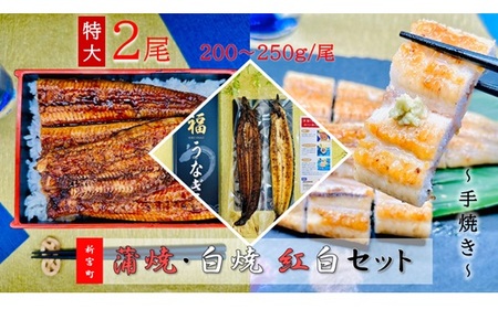 AD163.うなぎ蒲焼とうなぎ白焼食べ比べ紅白セット