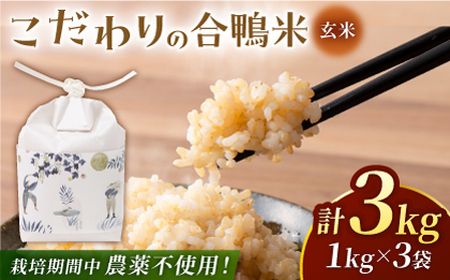 合鴨玄米 1kg×3 計3kg 【あいがもん倶楽部】[ZAR023]