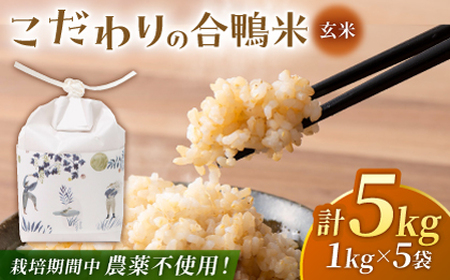 合鴨玄米 1kg×5 計5kg 【あいがもん倶楽部】[ZAR024]