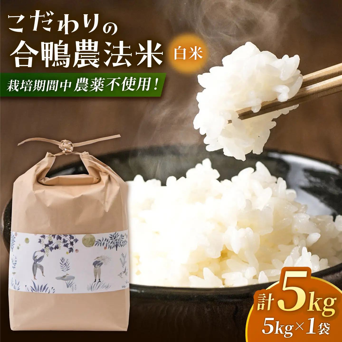 〈令和7年度産米〉 合鴨農法米 5kg 【あいがもん倶楽部】 令和7年産 [ZAR026]