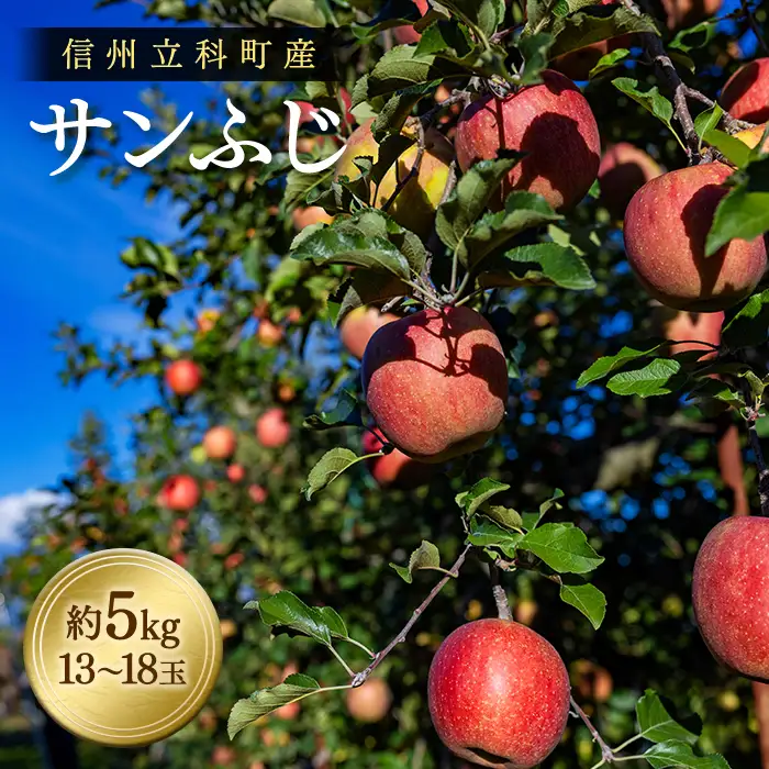サンふじ（約5㎏、優13～18玉）　