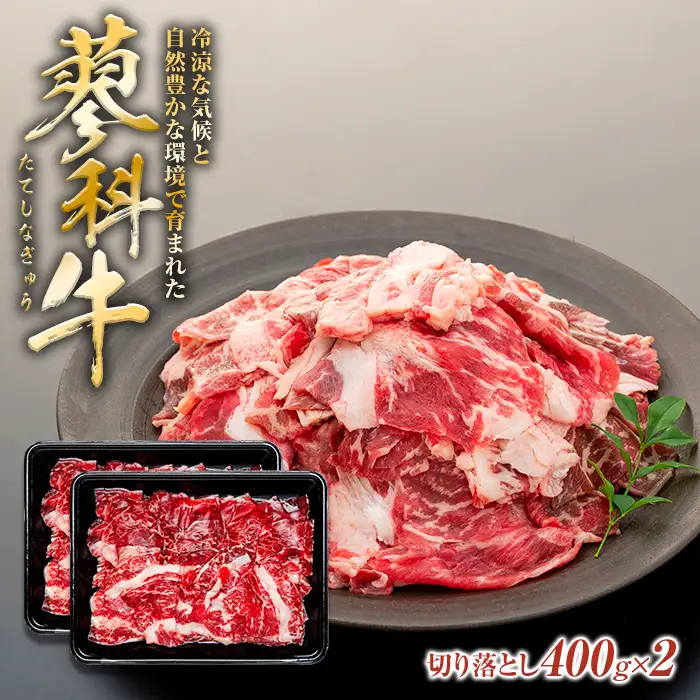 蓼科牛切落し400g×2