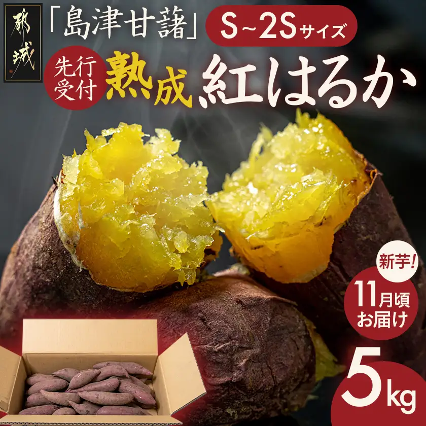 先行受付!【11月お届け】島津甘藷　熟成紅はるか 5kg(S～2S)〔LE-A7-001-5kg-m-11〕_(都城市)島津甘藷 紅はるか サツマイモ 未選別 5kg S～2S