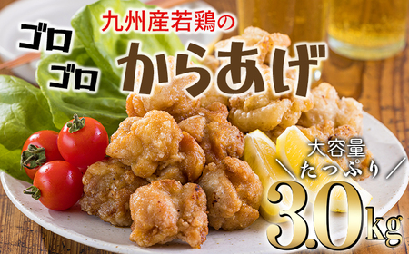 《冷めてもおいしい！》九州産の若鶏の大きな唐揚げ3.0kg(500g×6袋)  TF0775-P00064