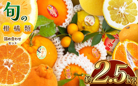 旬の柑橘類詰め合わせセット 約2.5kg