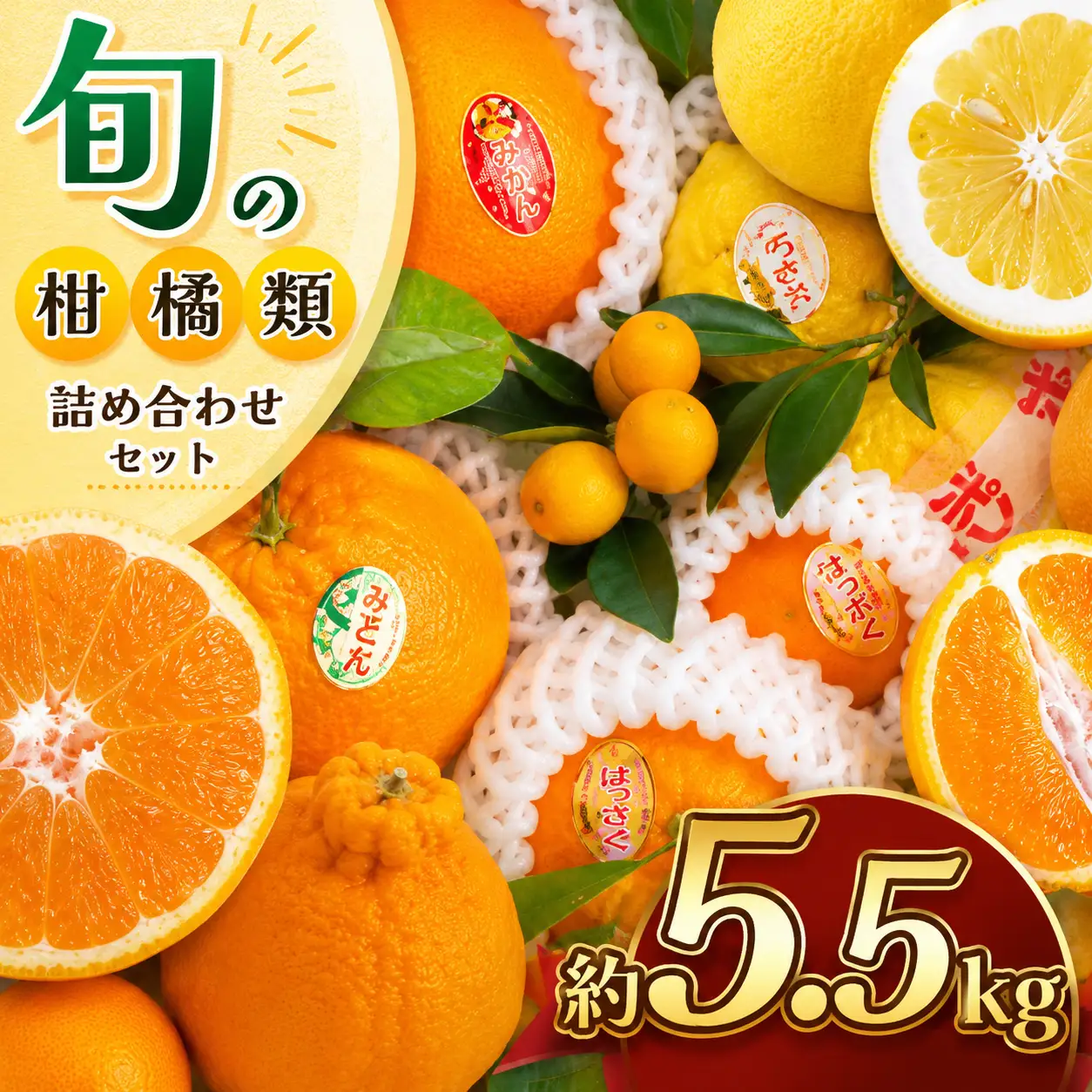 旬の柑橘類詰め合わせセット 約5.5kg