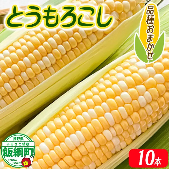 【 厳選品種 】 とうもろこし 10本 （ 品種おまかせ ） 配送先は本州限定 ふるさと振興公社 2026年8月下旬頃から2026年9月上旬頃まで順次発送予定 信州 トウモロコシ コーン ゴールドラッシュ ミルフィーユ グラビス ピーターコーン ハニーバンタム 長野県 飯綱町 [1841]
