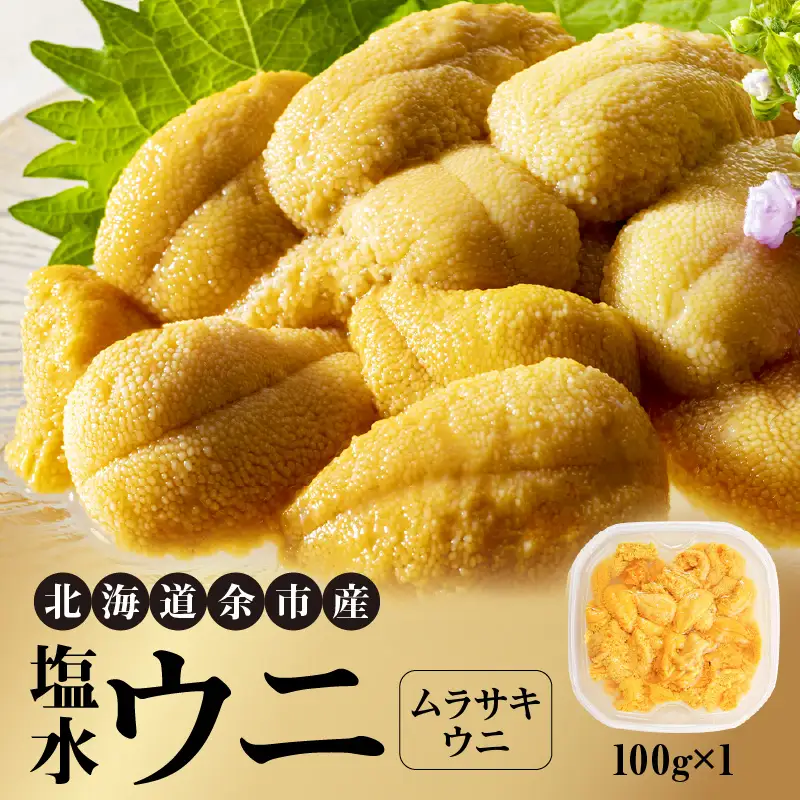 北海道産　世壱屋塩水ウニ（ムラサキウニ）100g_Y038-0138