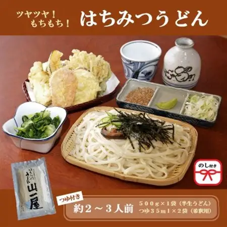 【のし付き】はちみつうどん500g×1袋　約2～3人前(半生うどん)【配送不可地域：離島・沖縄県】【1507021】