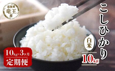 【 先行予約 】新米 こしひかり 白米 10kg 定期便 3ヶ月