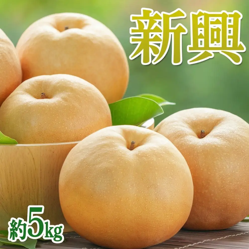 茨城県産【新興梨】約5kg【土浦市産】 ※2026年10月～発送