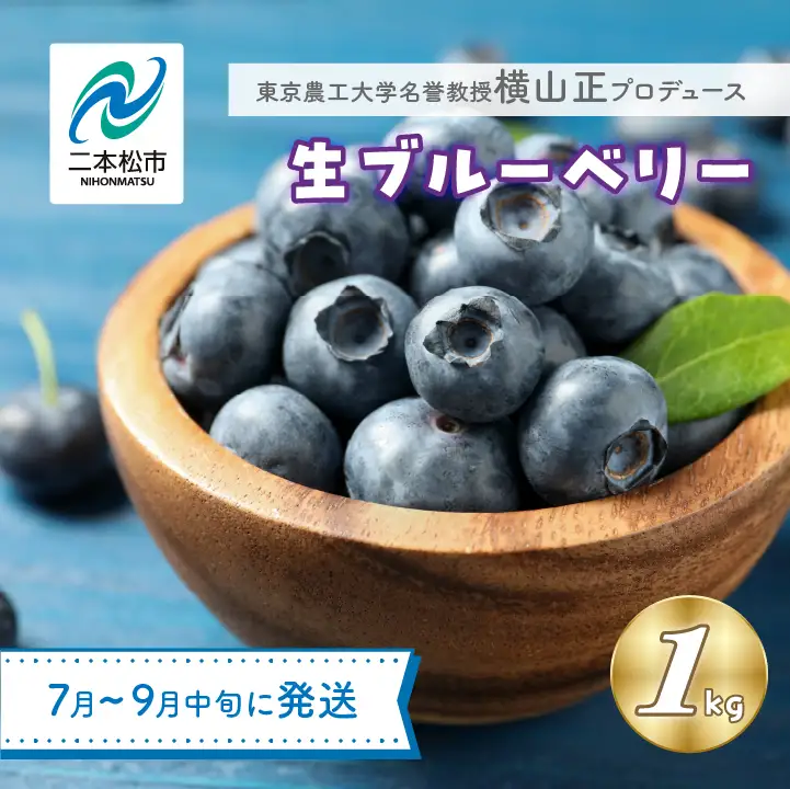 《2026年7月以降順次発送》ブルーベリー果実1kg（品種おまかせ）　ブルーベリー フルーツ【東和ブルーベリー研究農園】