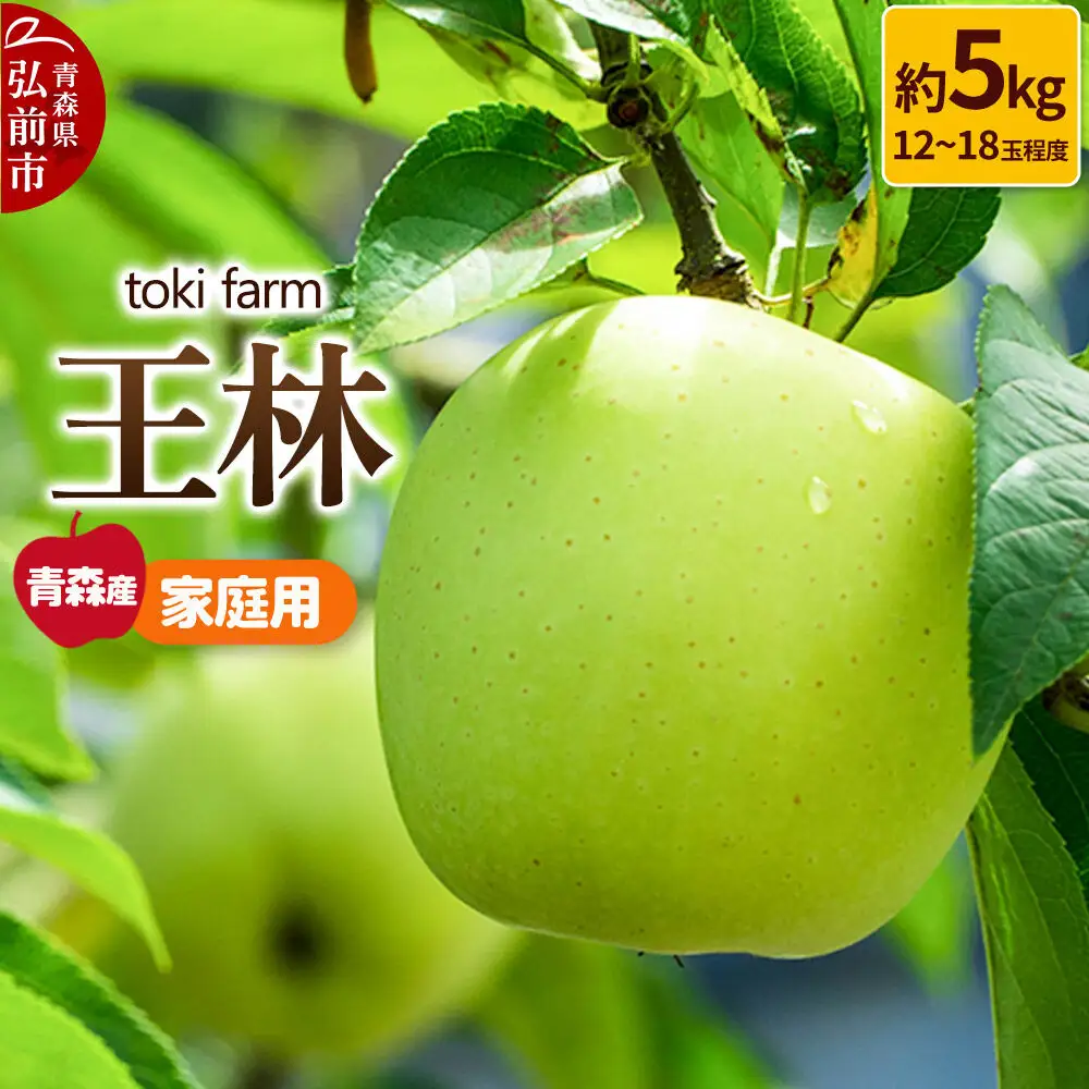 【26年11月発送】りんご 王林 約5kg（12～18玉程度）家庭用 toki farm