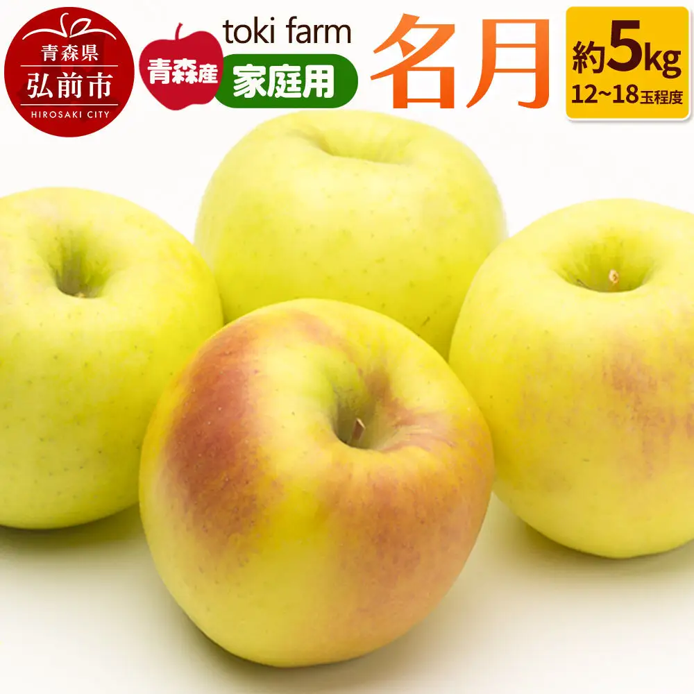 【26年10月下旬～クール便発送】りんご 名月 約5kg（12～18玉程度）家庭用 toki farm