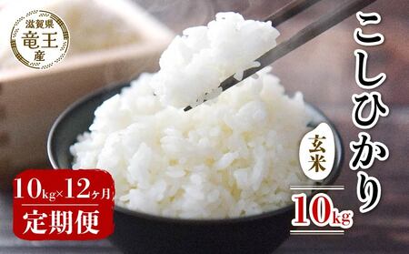 【 先行予約 】新米 こしひかり 玄米 10kg 定期便 12ヶ月