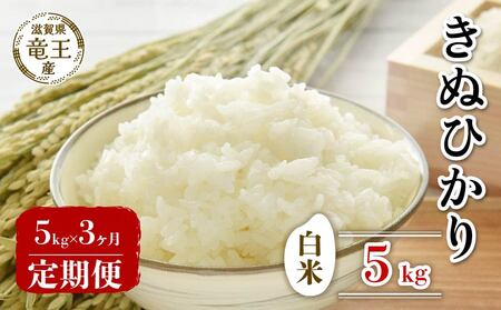 【 先行予約 】  新米 きぬひかり 白米 5kg 定期便 3ヶ月