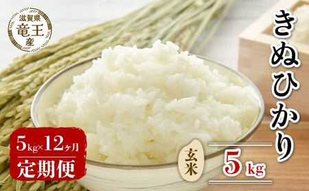 【 先行予約 】 新米 きぬひかり 玄米 5kg 定期便 12ヶ月