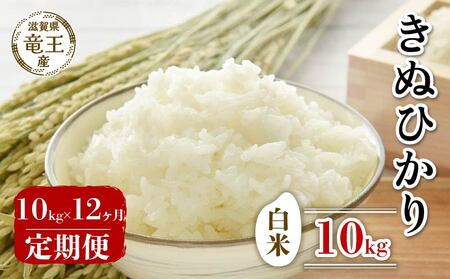 【 先行予約 】 新米 きぬひかり 白米 10kg 定期便 12ヶ月 