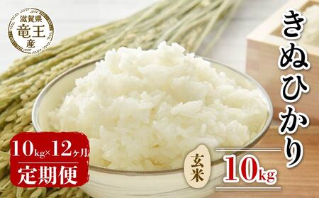 【 先行予約 】 新米 きぬひかり 玄米 10kg 定期便 12ヶ月