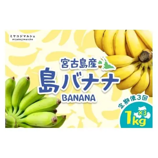 JH009　宮古島産バナナ（1?×定期便3回）【（株）フラモン】