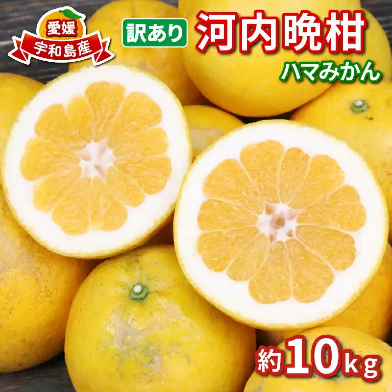 訳あり河内晩柑10kgハマみかん 柑橘 柑橘 B010-075011
