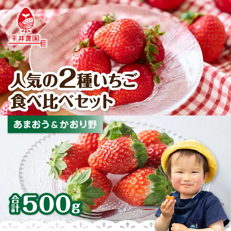 人気の2種いちご食べ比べセット「あまおう 250g」＋「かおり野 250g」合計500g｜2026年12月～順次発送＜ひらい観光農園＞ いちご イチゴ 苺 旬 期間限定 数量限定 デザート フルーツ 食べ比べ 福岡県 八女市065-010