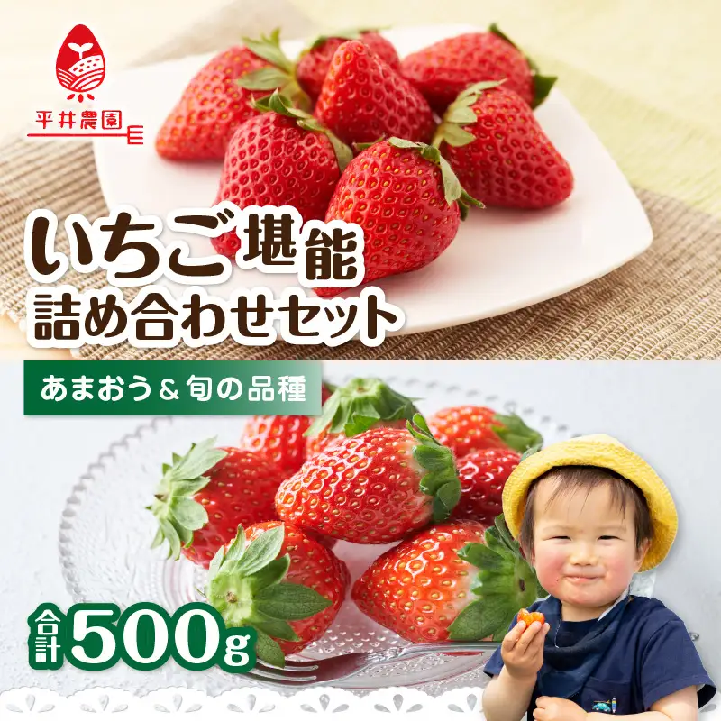 いちご堪能詰め合わせセット 250g×2パック（合計500g）｜2026年12月～順次発送＜ひらい観光農園＞ 065-011