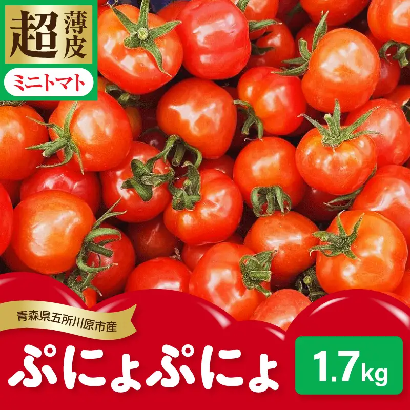ミニトマト 超薄皮約1.7kg【2026先行受付】7～9月ミニトマト
