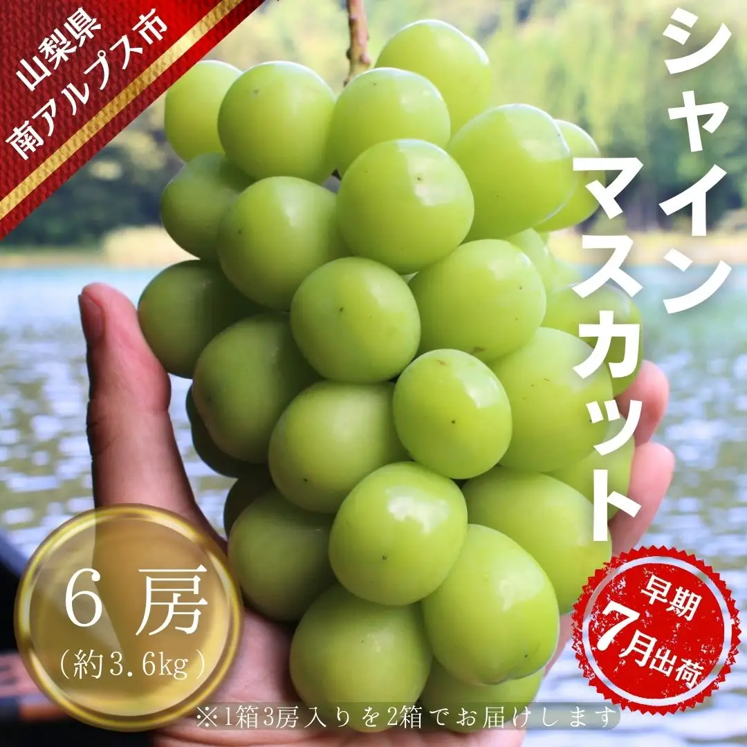 【令和8年発送・先行予約】ハウス栽培　南アルプス市産シャインマスカット(6房・約3.6㎏)真心で育てる大地の宝石！【早期出荷】 ALPDX002