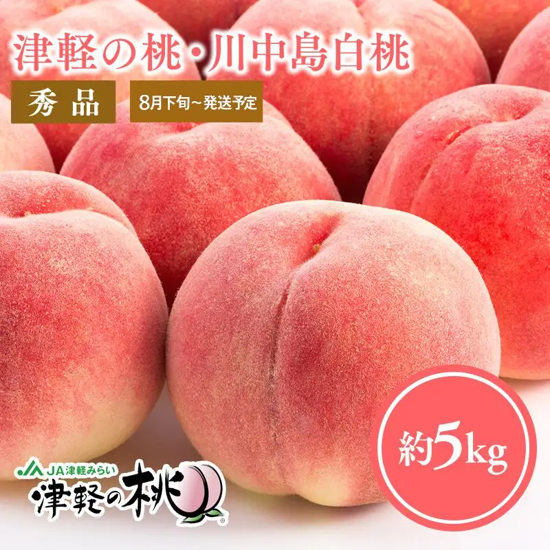 津軽の桃 川中島白桃 約5kg 秀品《hi-0001-003》