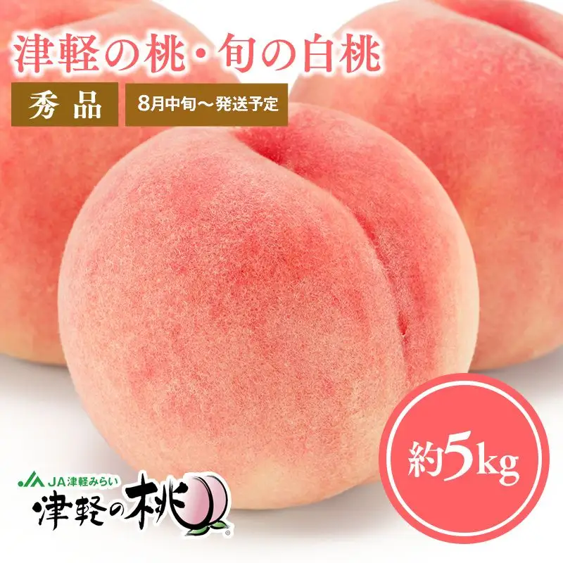 津軽の桃 旬の白桃 約5kg 秀品 《hi-0001-005》