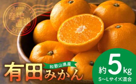 【2026年先行予約】産地直送　和歌山県産 有田みかん 5kg_BL6500