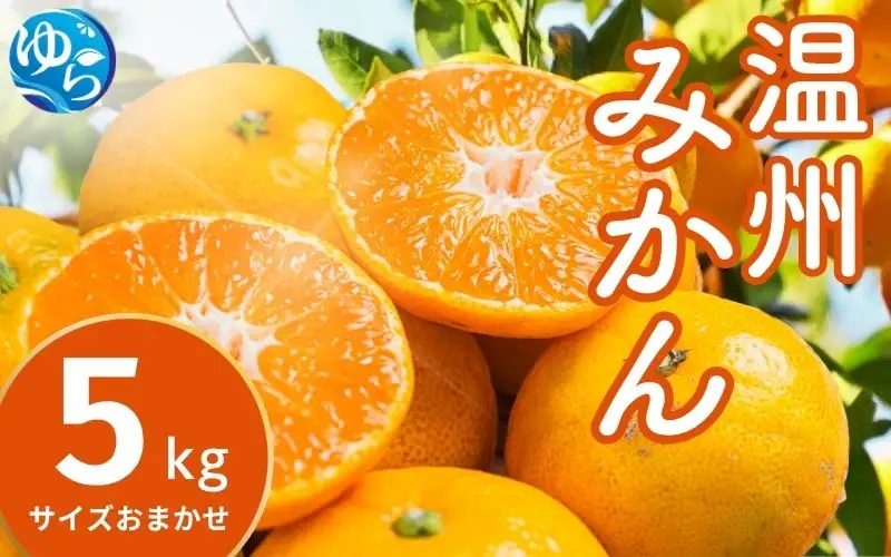 温州みかん 5kg (サイズおまかせ) ※2026年12月中旬～2027年1月下旬に順次発送予定 ※北海道・沖縄・離島配送不可 / ミカン 蜜柑 フルーツ 果物 柑橘 果実 由良町 国産 産地直送 和歌山県【eiw004-r-5】