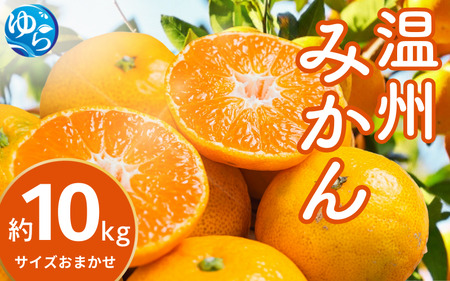 温州みかん 10kg (サイズおまかせ) ※2026年12月中旬～2027年1月下旬に順次発送予定 ※北海道・沖縄・離島配送不可 / ミカン 蜜柑 フルーツ 果物 柑橘 果実 由良町 国産 産地直送 和歌山県 【eiw004-r-10】