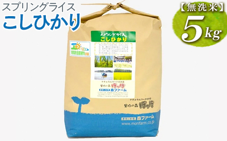 スプリングライス こしひかり (無洗米)5kg | 米 こめ コメ ご飯 単一米 国産 茨城県産 _BI39