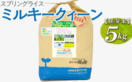 スプリングライス ミルキークィーン (胚芽米) 5kg | 米 こめ コメ ご飯 玄米 単一米 国産 茨城県産 _BI47