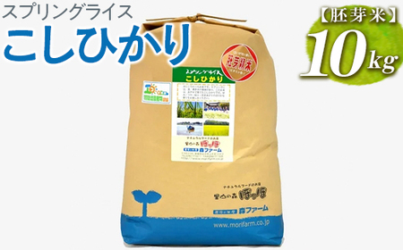 スプリングライス こしひかり (胚芽米)10kg | 米 こめ コメ ご飯 単一米 国産 茨城県産 _BI50