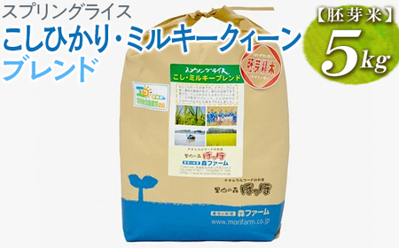スプリングライス こしひかり・ミルキークィーン ブレンド (胚芽米)5kg | 米 こめ コメ ご飯 単一米 国産 茨城県産 _BI51