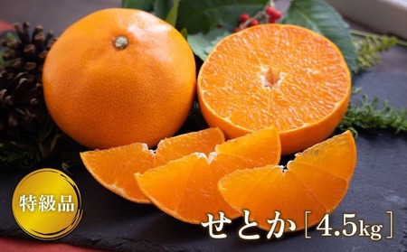 特級品 せとか 4.5kg | 愛媛三大高級柑橘 ( 紅まどんな 甘平 せとか ) のひとつ セトカ 【TMN019_x】