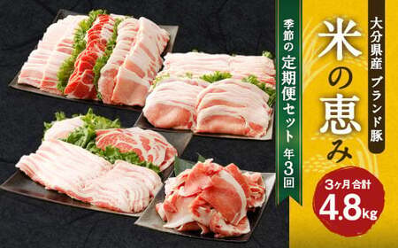 【3回定期便】大分県産ブランド豚「米の恵み」季節の定期便セット 計4.8kg（1～2月・5～6月・9～10月）定期便 豚肉