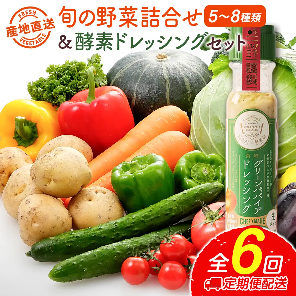 産地直送！旬の野菜（5～8種類）＆ドレッシング セット 全6回 隔月定期便 2か月に1回お届け おまかせ 詰合せ 宮崎県新富町産 E214-2608