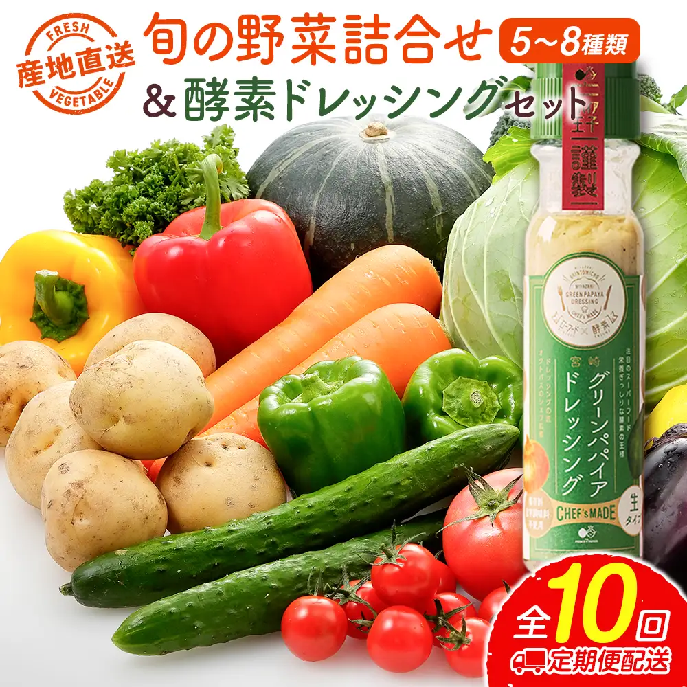 産地直送！旬の野菜（5～8種類）＆ドレッシング セット 10か月 定期便 おまかせ 詰合せ 宮崎県新富町産 F137⁻2608