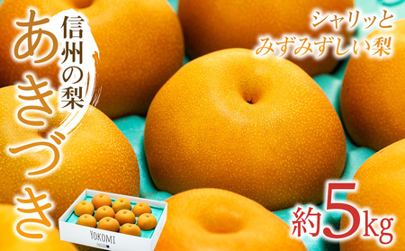 【2026年/令和8年発送分 】梨 長野 あきづき 約5kg 信州の梨 シャリッとみずみずしい梨です フルーツ 果物 デザート なし ナシ あきづき アキヅキ 産地直送 長野県 信州産