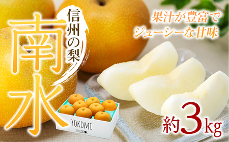 【2026年/令和8年発送分 】梨 長野 南水 約 3kg 信州の梨 フルーツ 果物 デザート おやつ なし ナシ なんすい ナンスイ 産地直送 長野県 長野県産 信州産 長野県箕輪町