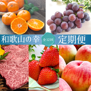 【全12回・毎月発送】和歌山をまるごと味わい尽くす定期便（熊野牛・フルーツ・梅酒）【MG61】【S96141-mtgn103】
